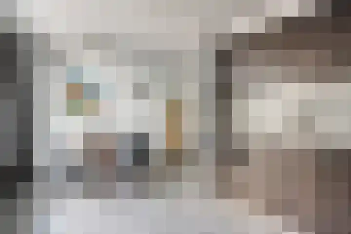 Steenoven 24 Someren thumbnail 10