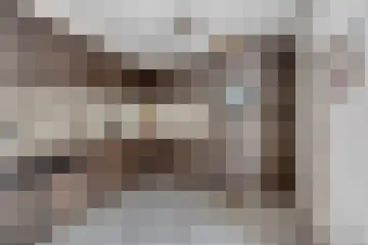 Steenoven 24 Someren thumbnail 11