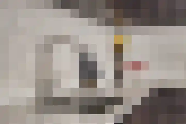 Steenoven 24 Someren thumbnail 12