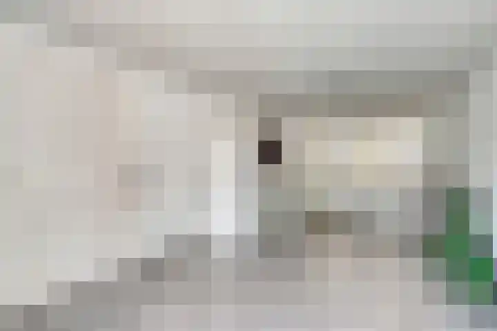 Steenoven 24 Someren thumbnail 16