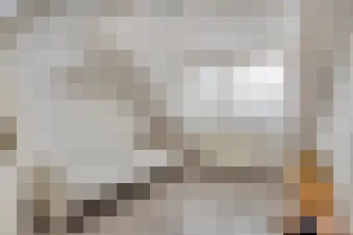 Steenoven 24 Someren thumbnail 22