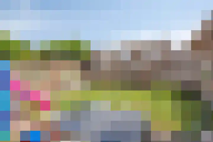Steenoven 24 Someren thumbnail 25
