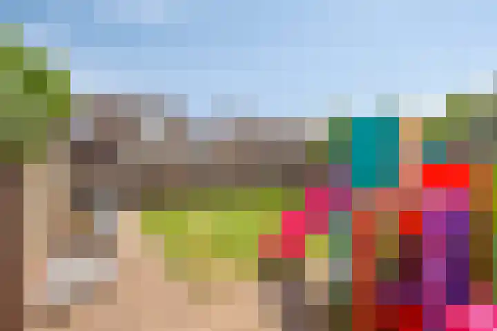 Steenoven 24 Someren thumbnail 26
