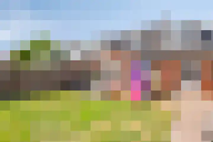Steenoven 24 Someren thumbnail 27