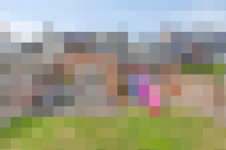 Steenoven 24 Someren thumbnail 28