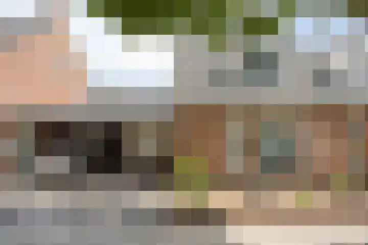 Steenoven 24 Someren thumbnail 32