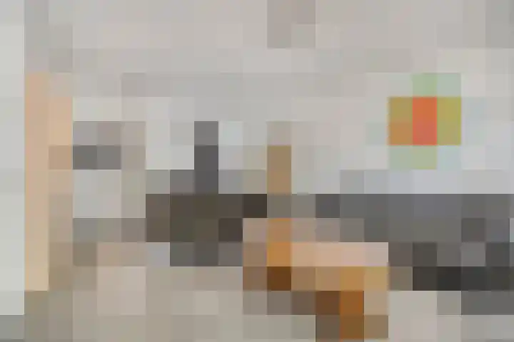 Steenoven 24 Someren thumbnail 7