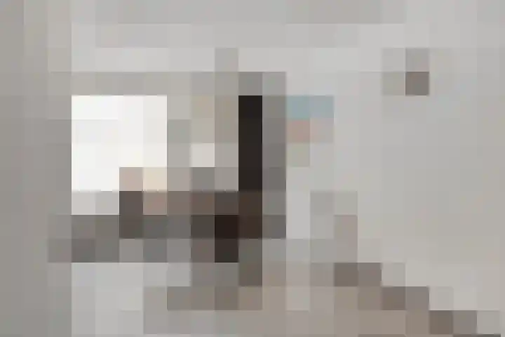 Steenoven 24 Someren thumbnail 8