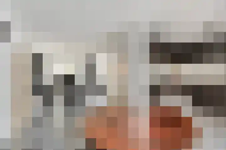 Steenoven 24 Someren thumbnail 9