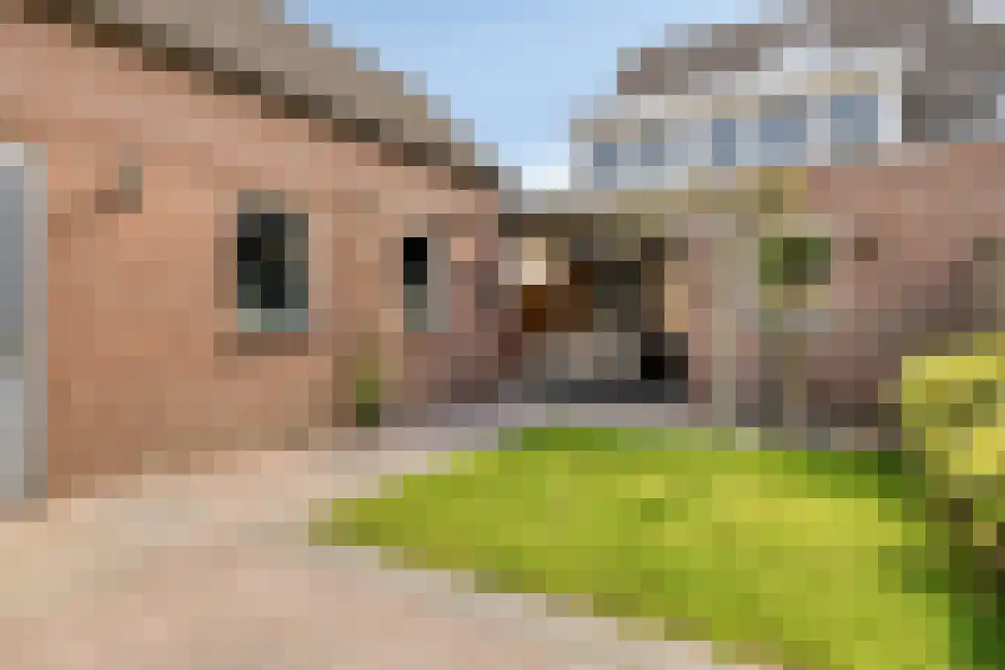 Steenovens 101 Westerhoven thumbnail 33