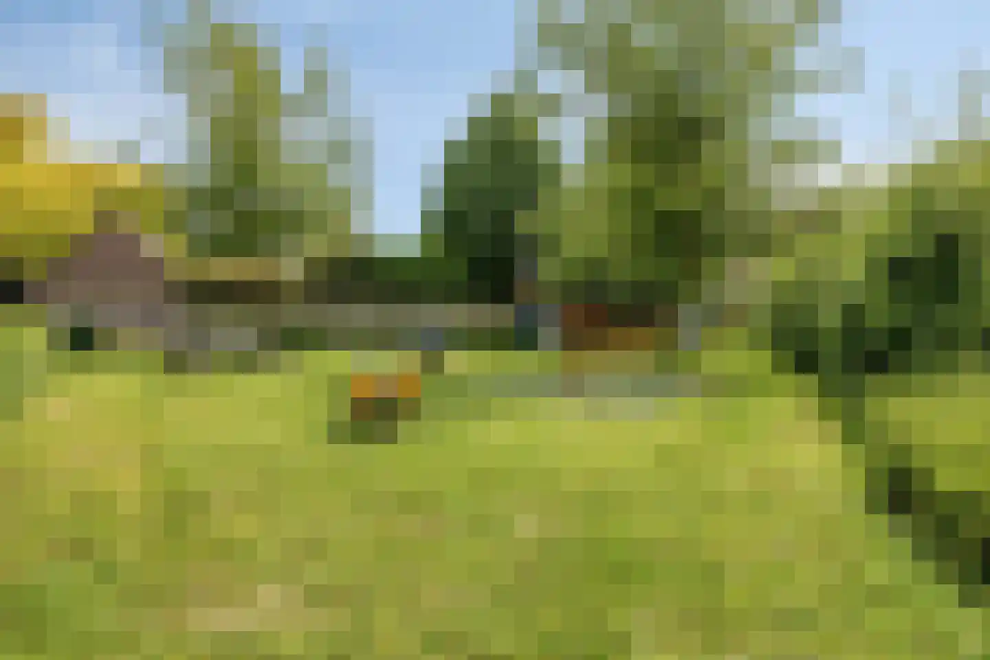 Steenovens 101 Westerhoven thumbnail 38