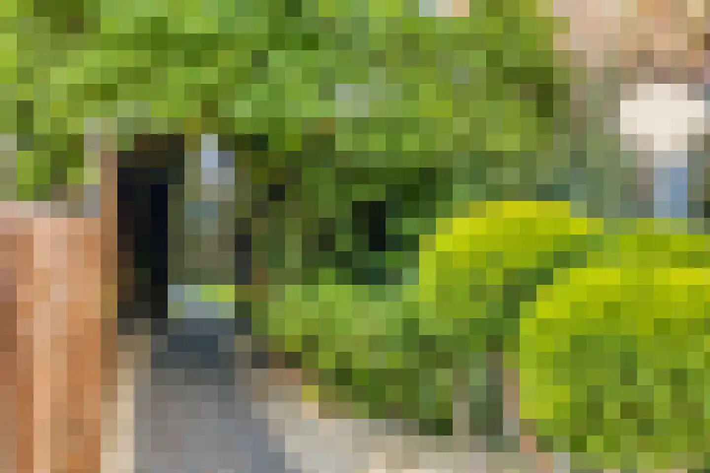 Steenovens 79 Westerhoven thumbnail 33
