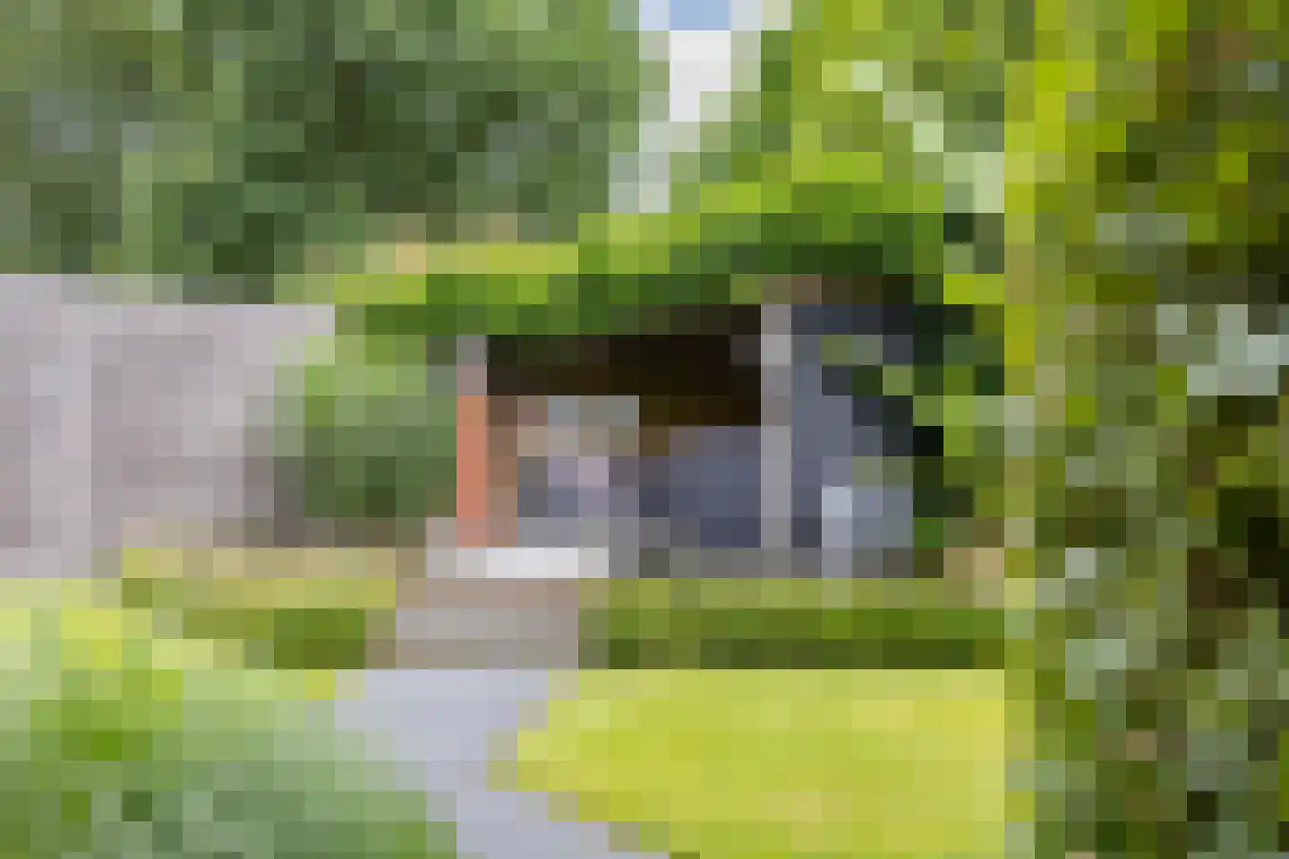 Steenovens 98 Westerhoven thumbnail 37