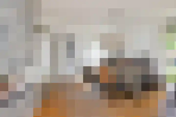 Steenovenstraat 25 Veghel thumbnail 20
