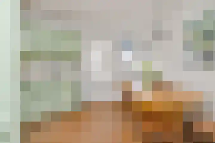 Steenovenstraat 25 Veghel thumbnail 26