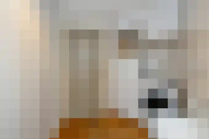Steenovenstraat 25 Veghel thumbnail 27