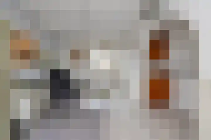 Steenovenstraat 25 Veghel thumbnail 28