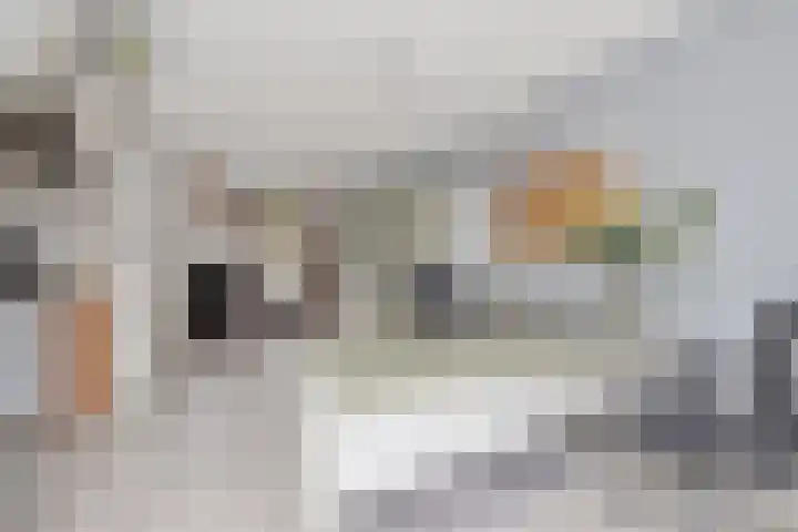 Steenovenstraat 25 Veghel thumbnail 30
