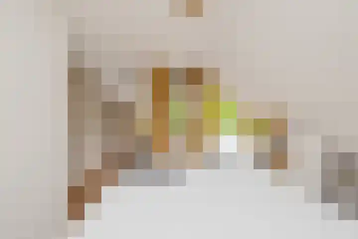 Steenovenstraat 25 Veghel thumbnail 37