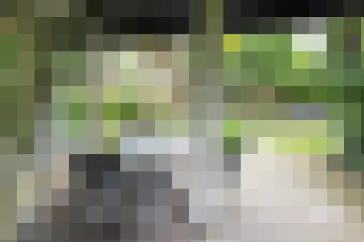 Steenovenstraat 25 Veghel thumbnail 68