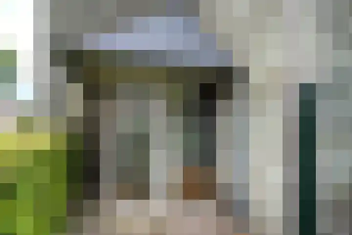 Steenovenstraat 25 Veghel thumbnail 69