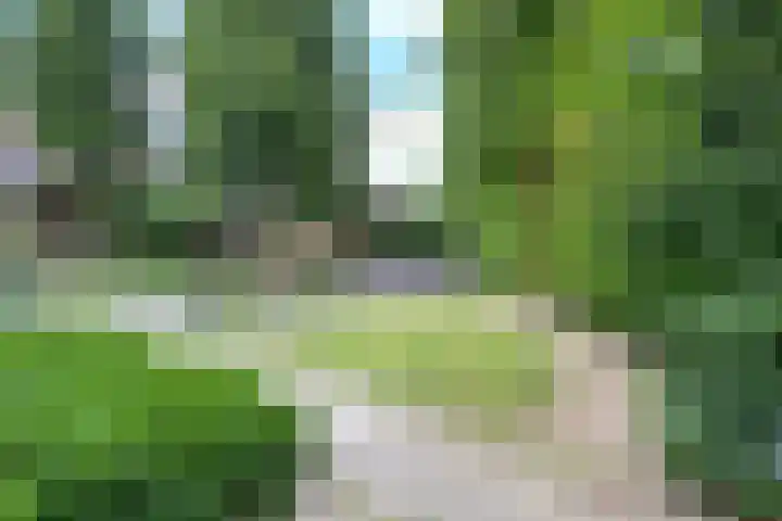 Steenovenstraat 25 Veghel thumbnail 72