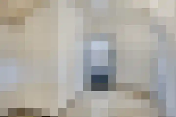 Steenovenstraat 32 Veghel thumbnail 18