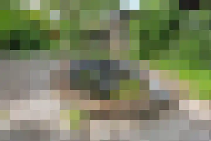 Steenovenstraat 32 Veghel thumbnail 31