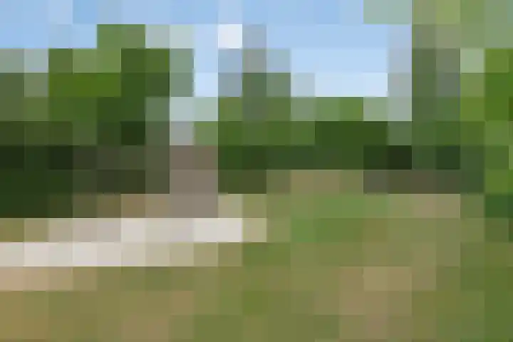 Steenovenstraat 32 Veghel thumbnail 36