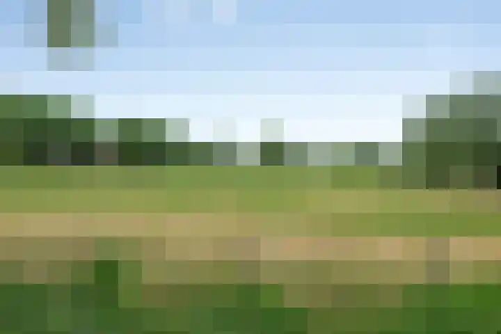 Steenovenstraat 32 Veghel thumbnail 37