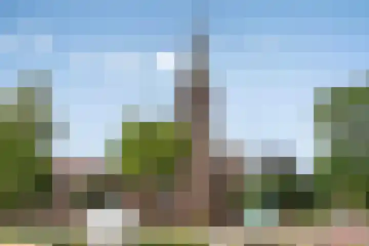 Steenovenstraat 32 Veghel thumbnail 38