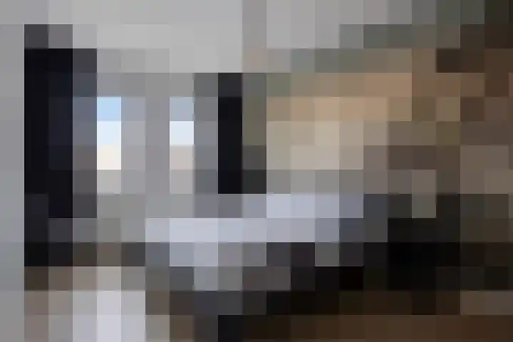 Steenovenweg 21 a Deurne thumbnail 19