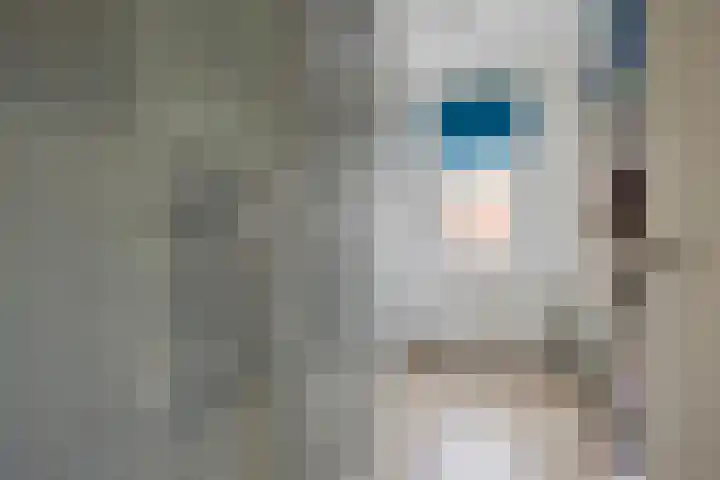 Steenovenweg 21 a Deurne thumbnail 22