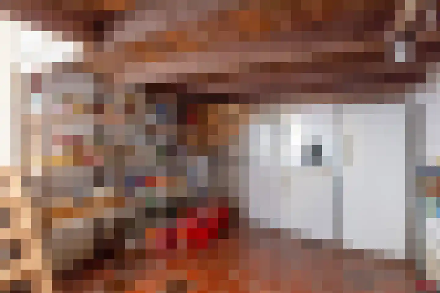 Steenovenweg 24 Helmond thumbnail 33