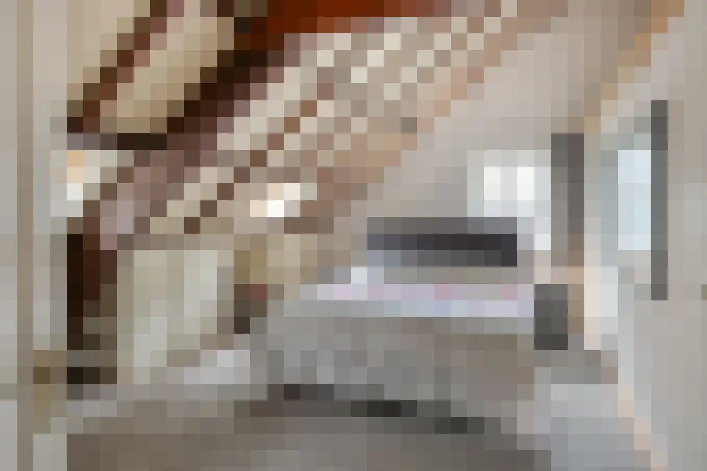 Steenovenweg 24 Helmond thumbnail 35