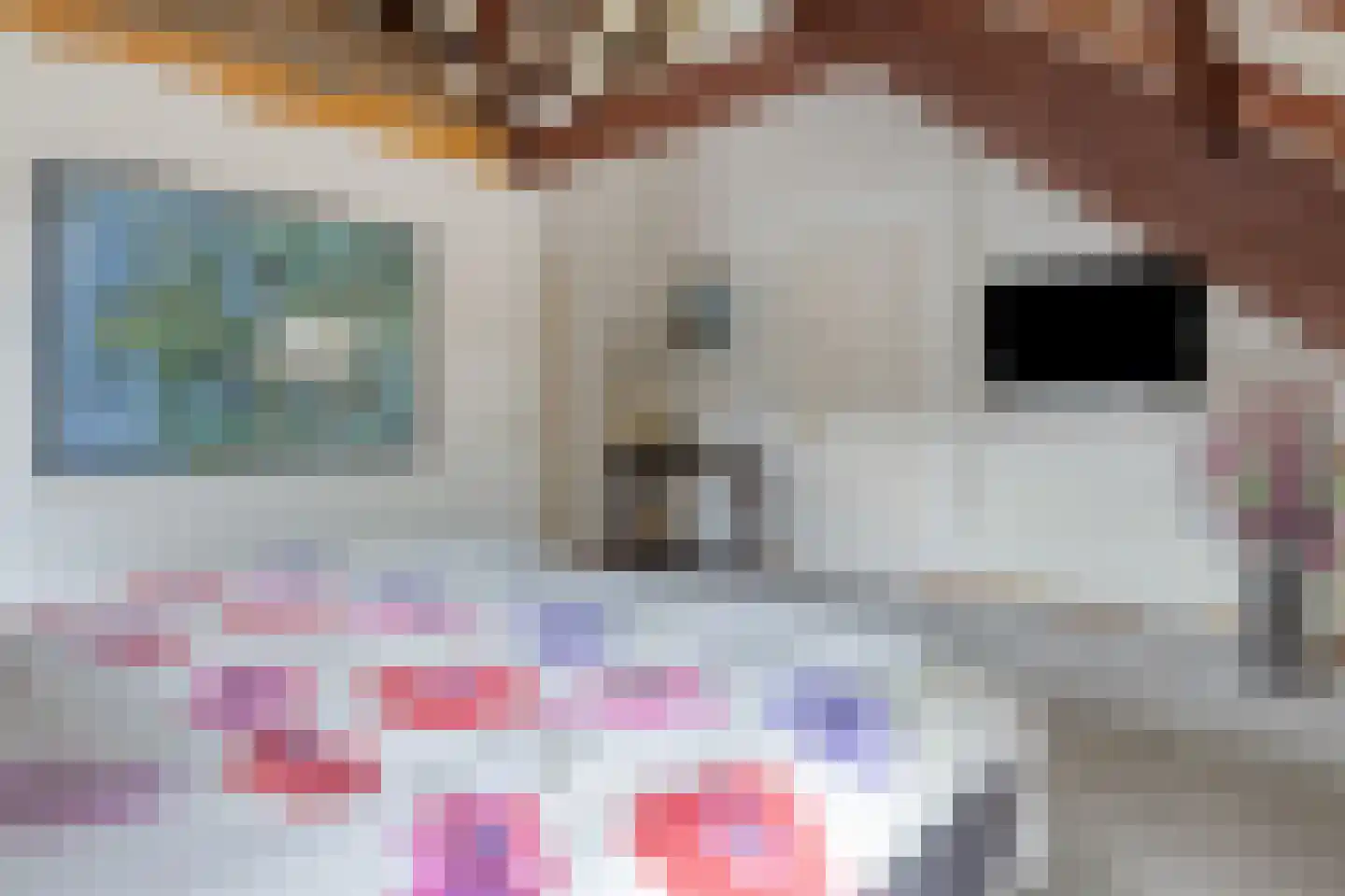 Steenovenweg 24 Helmond thumbnail 37