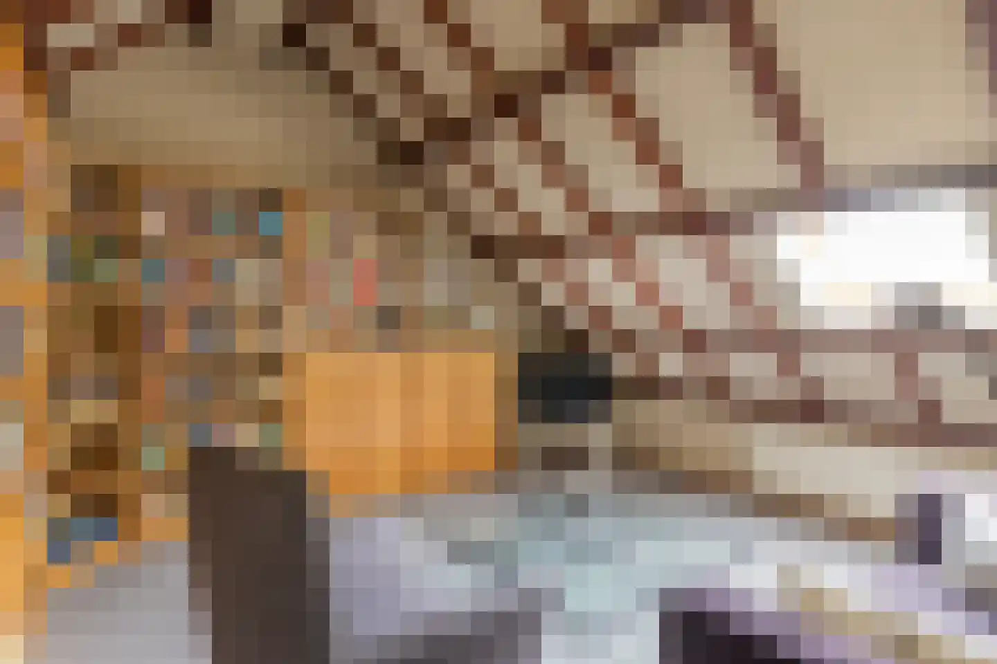 Steenovenweg 24 Helmond thumbnail 38