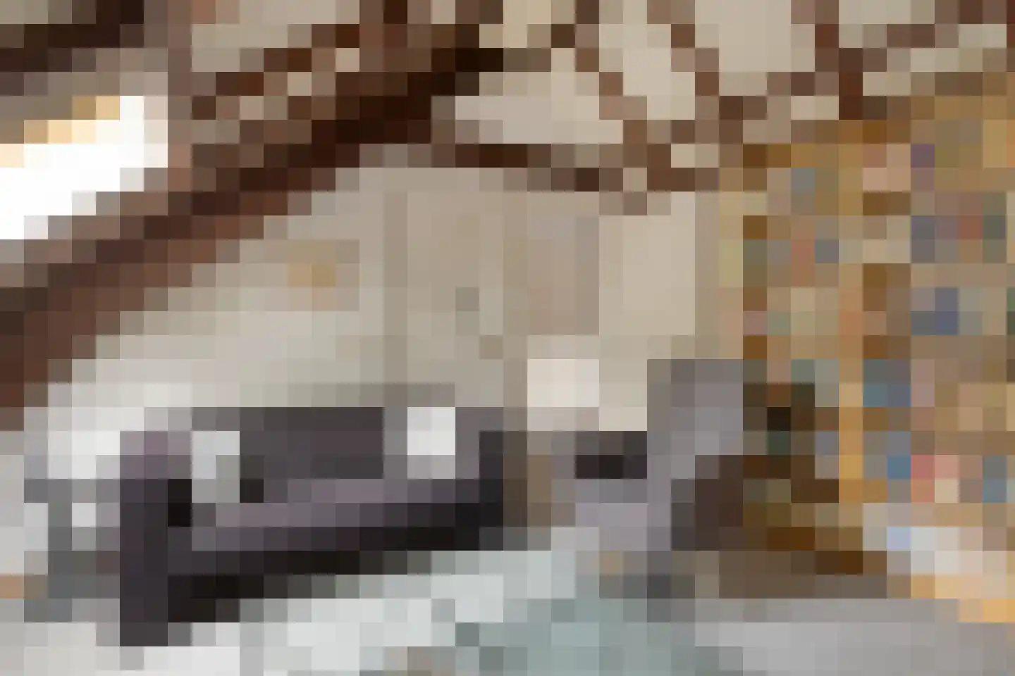 Steenovenweg 24 Helmond thumbnail 39
