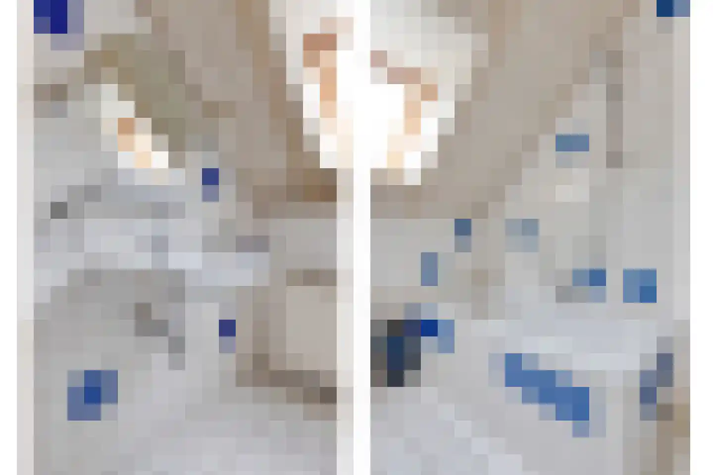 Steenovenweg 24 Helmond thumbnail 41