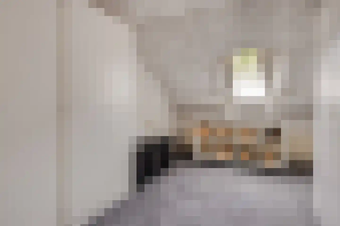 Steenovenweg 24 Helmond thumbnail 42