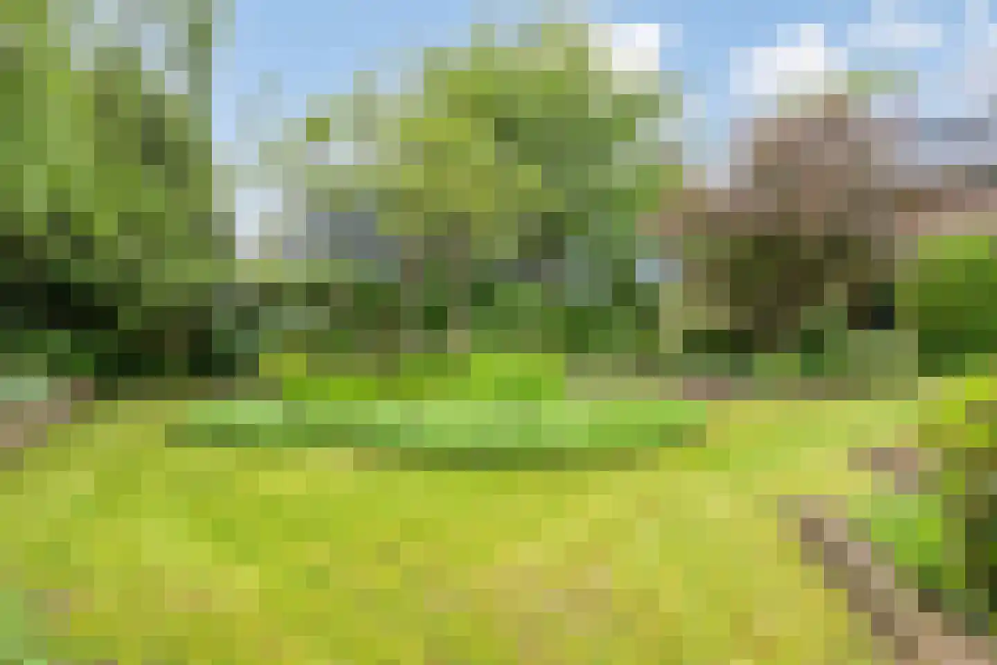 Steenovenweg 24 Helmond thumbnail 5