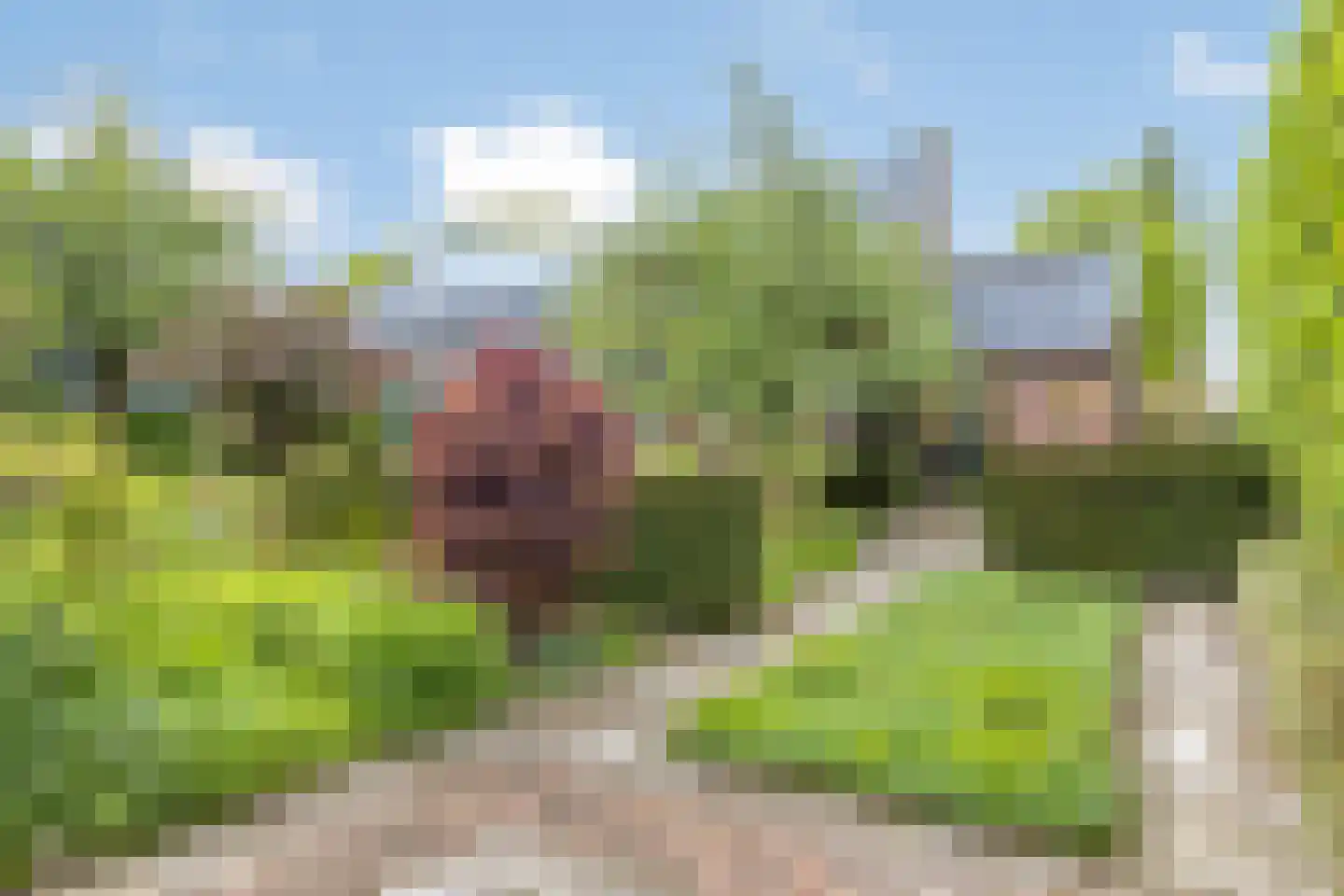 Steenovenweg 24 Helmond thumbnail 58