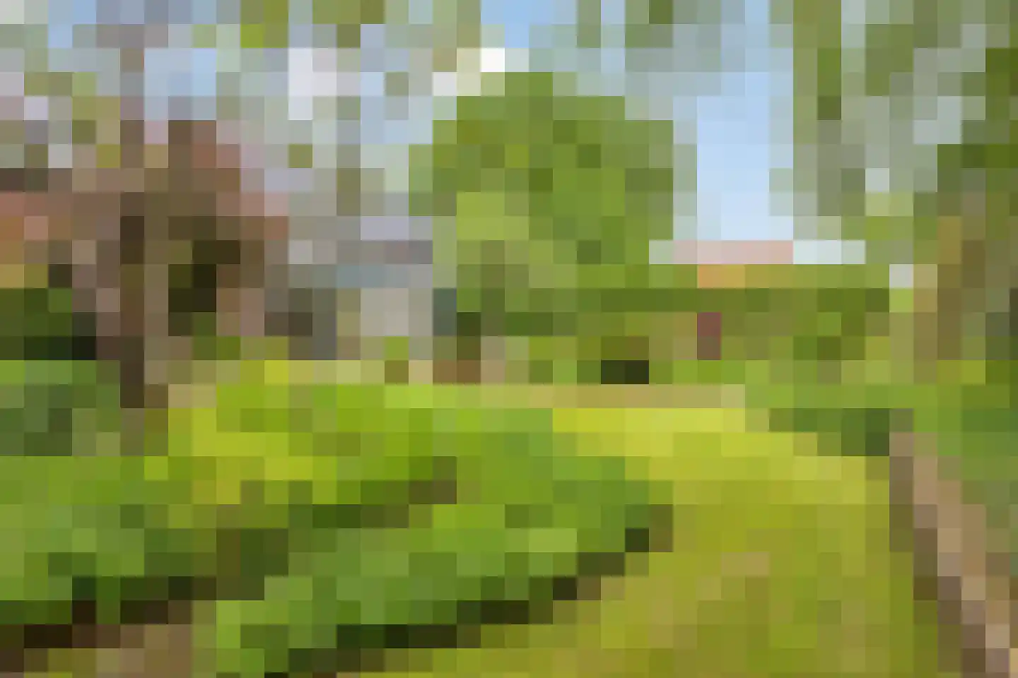 Steenovenweg 24 Helmond thumbnail 59