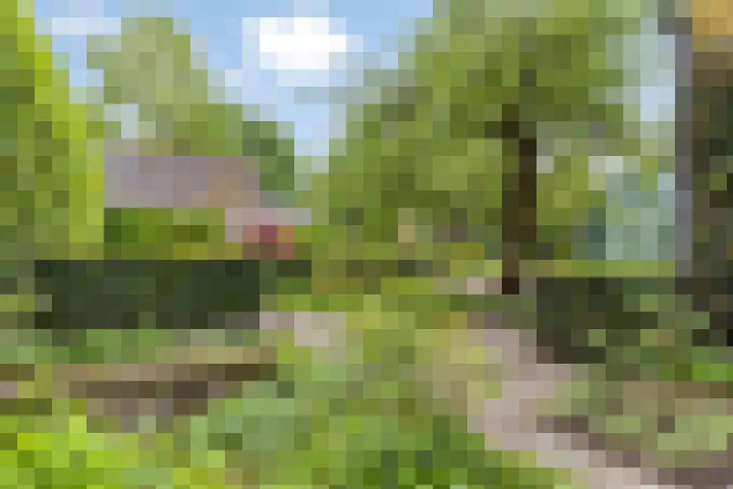 Steenovenweg 24 Helmond thumbnail 60