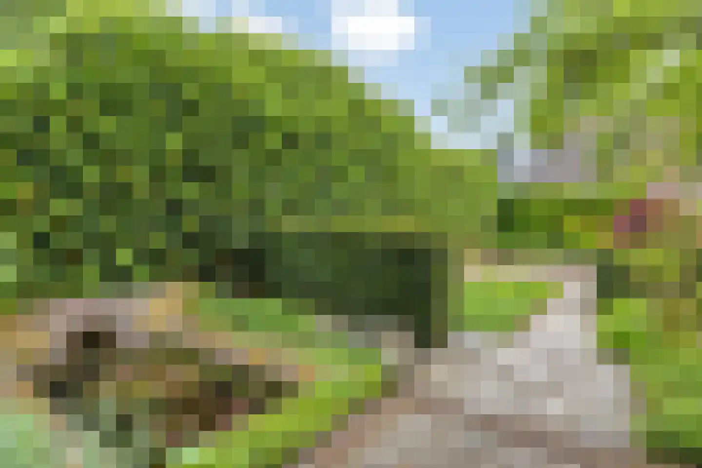 Steenovenweg 24 Helmond thumbnail 61