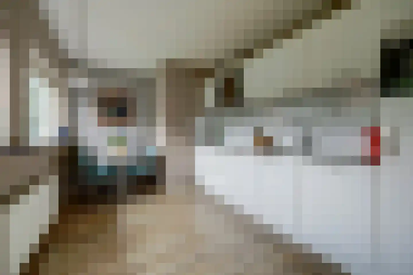 Steenovenweg 27 Schoonrewoerd thumbnail 10