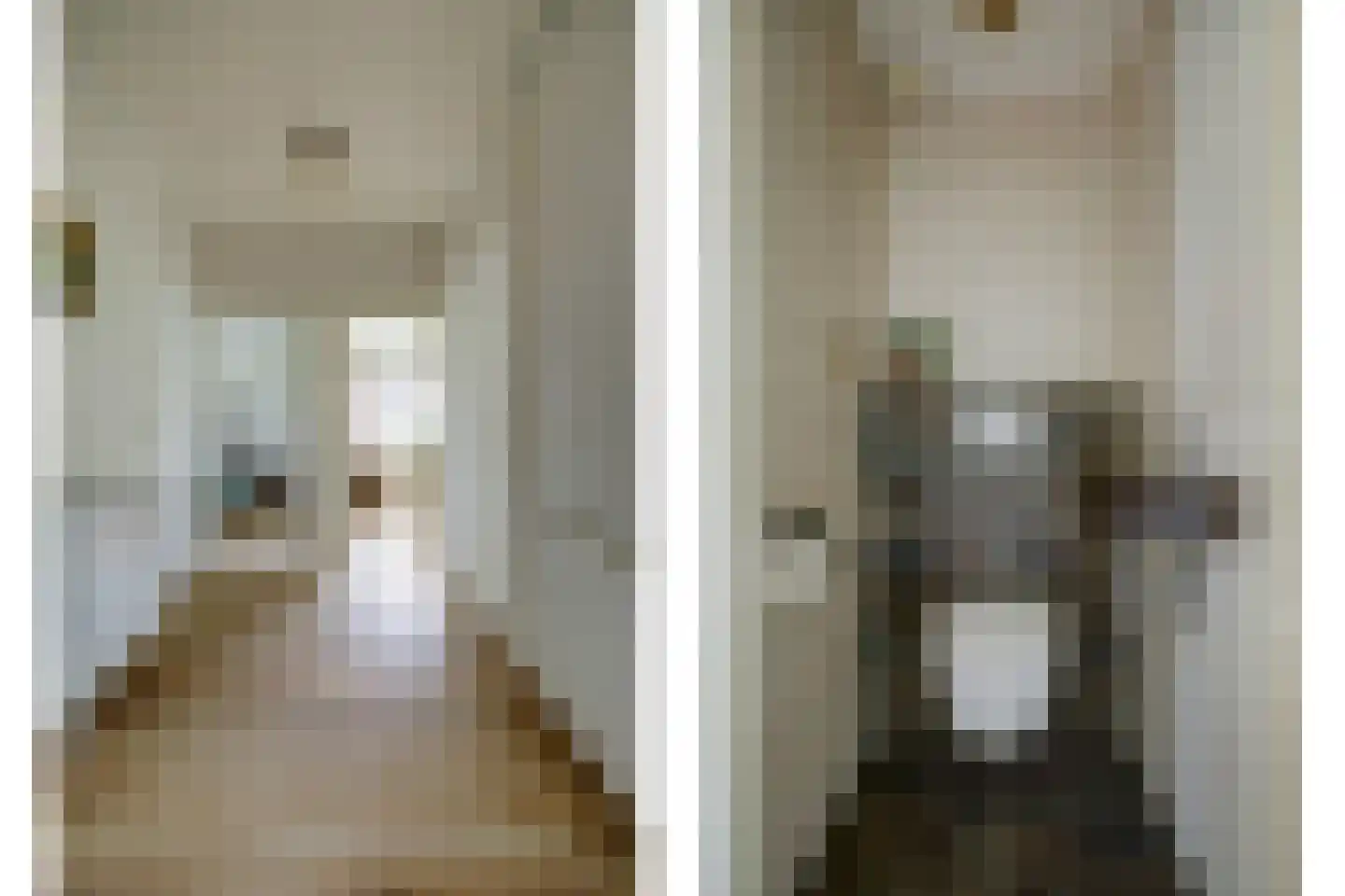 Steenovenweg 27 Schoonrewoerd thumbnail 14