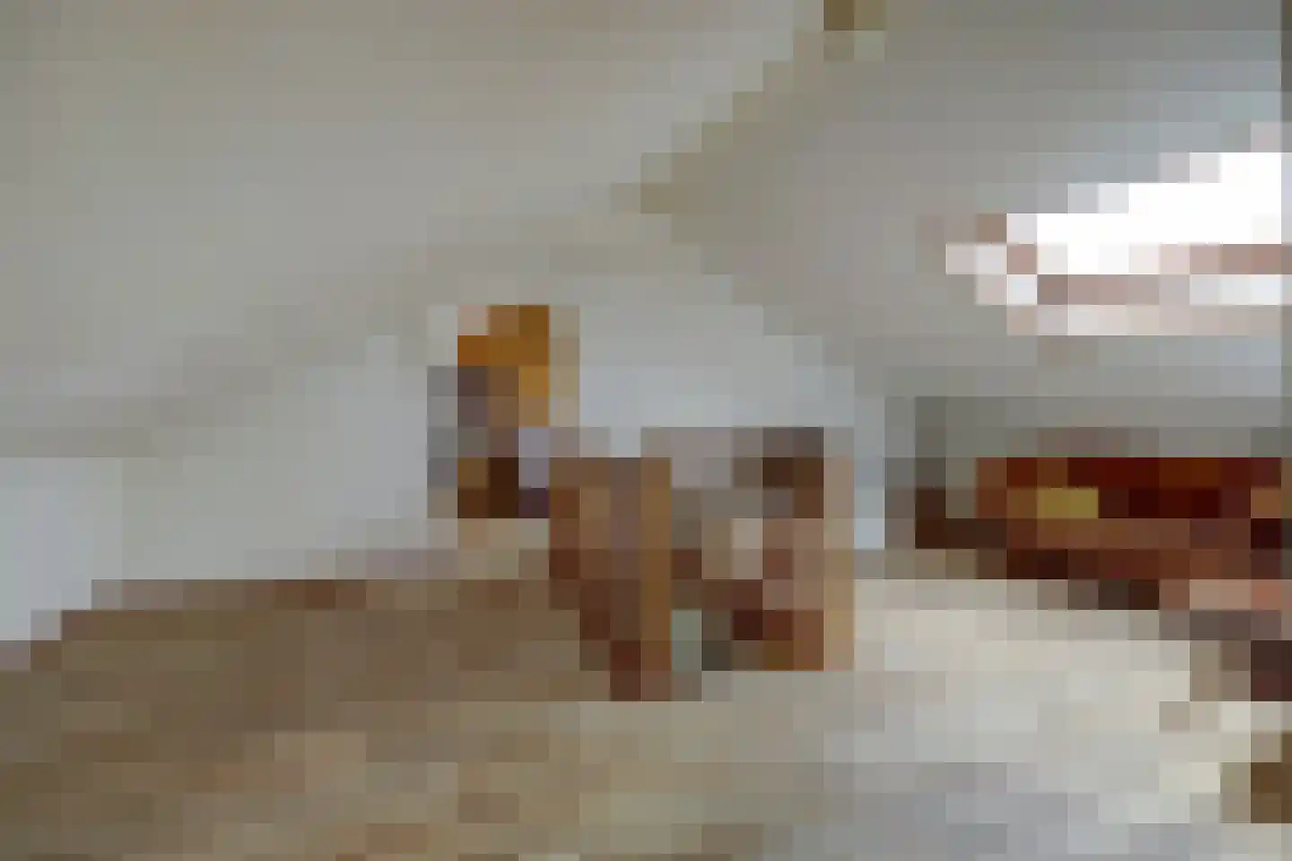 Steenovenweg 27 Schoonrewoerd thumbnail 17