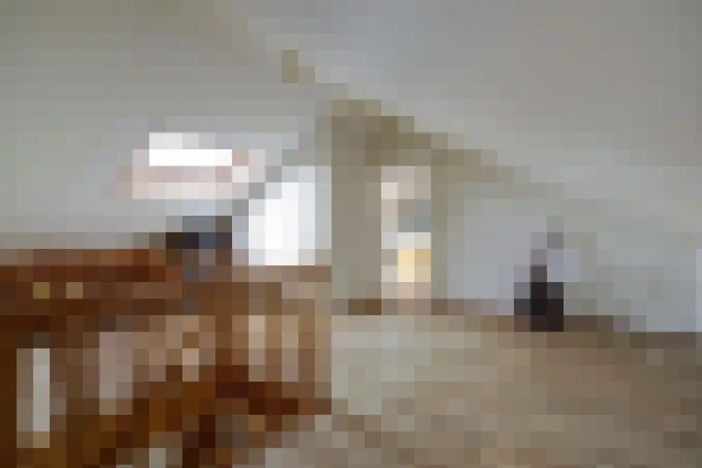 Steenovenweg 27 Schoonrewoerd thumbnail 18