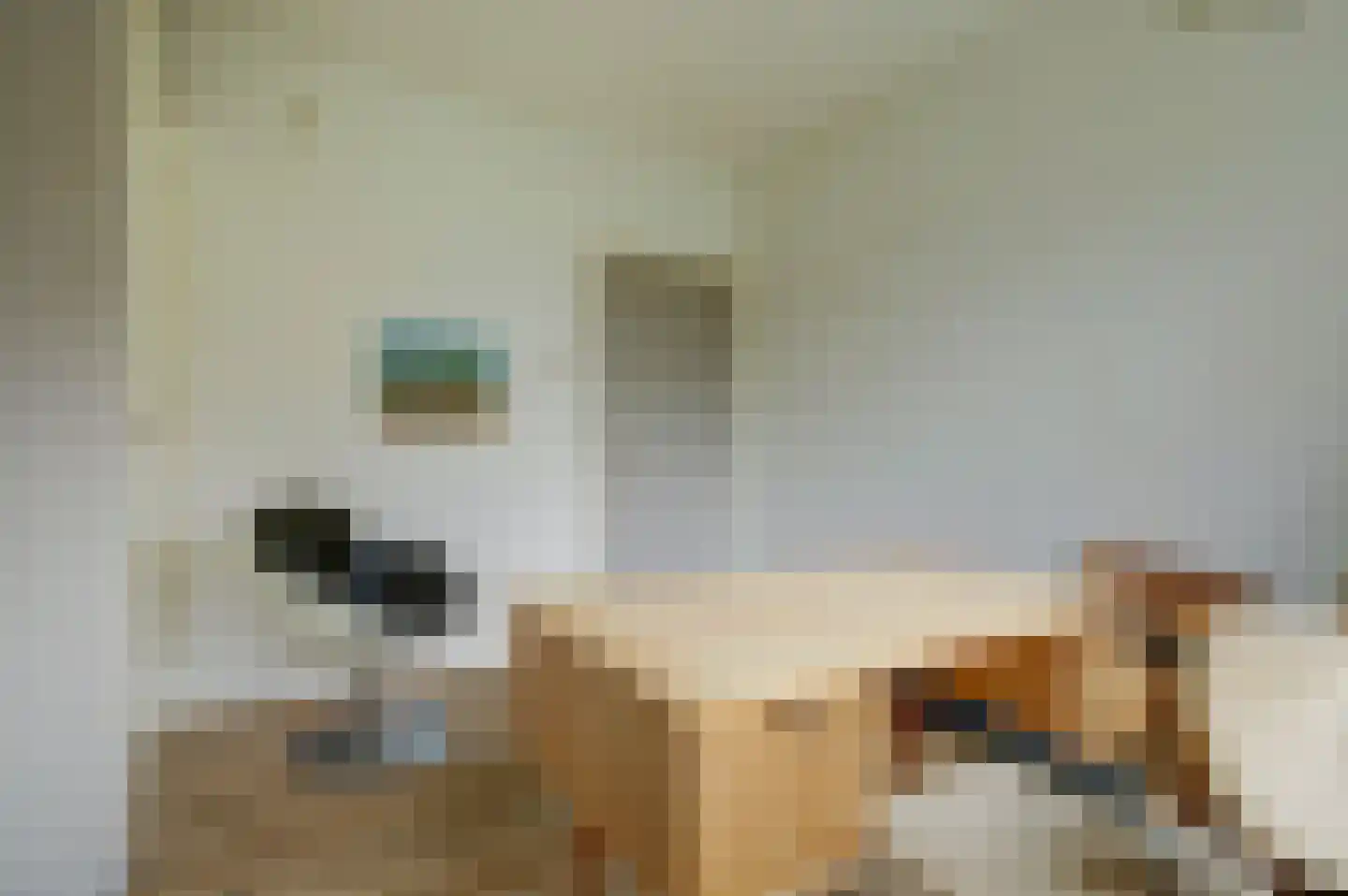 Steenovenweg 27 Schoonrewoerd thumbnail 22